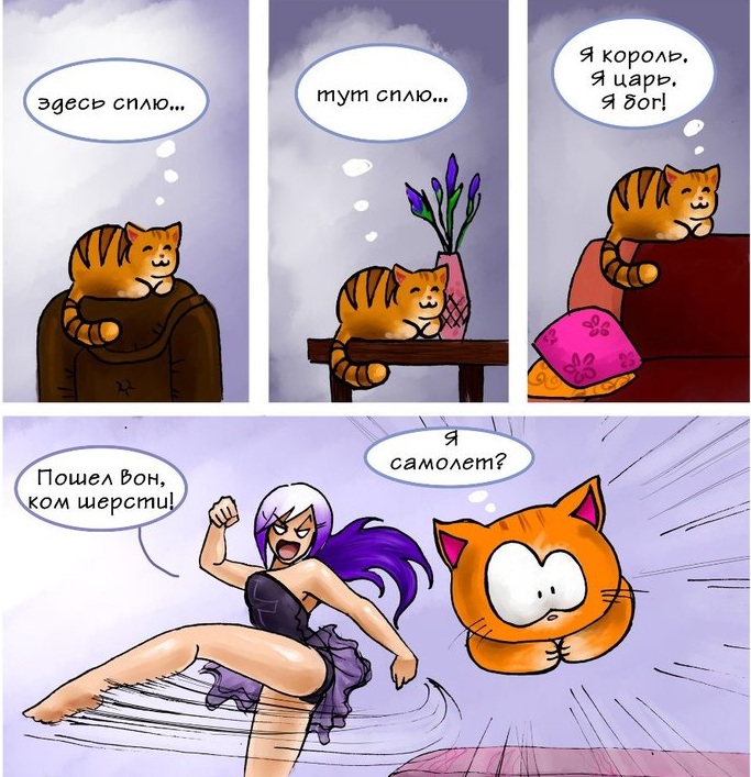 683x707, 169 Kb / кот, полет