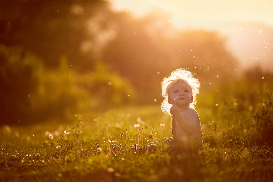 900x600, 133 Kb / ребенок, солнце, сепия, трава, одуванчики