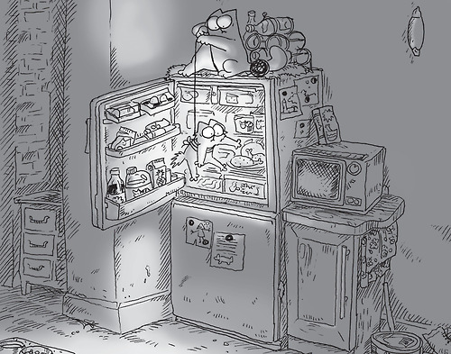 500x393, 115 Kb / холодильник, саймон, вор