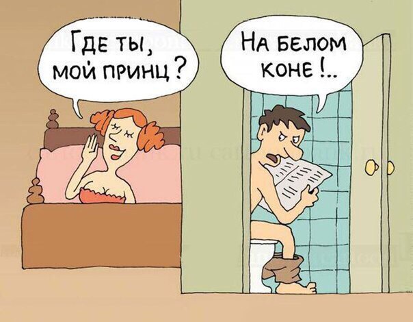 604x470, 53 Kb / карикатура, принц, конь, белый, унитаз