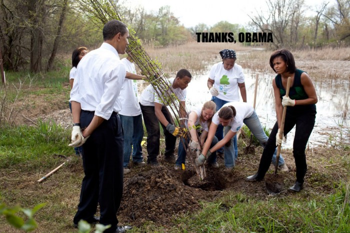 700x466, 126 Kb / обама, дерево, саженец