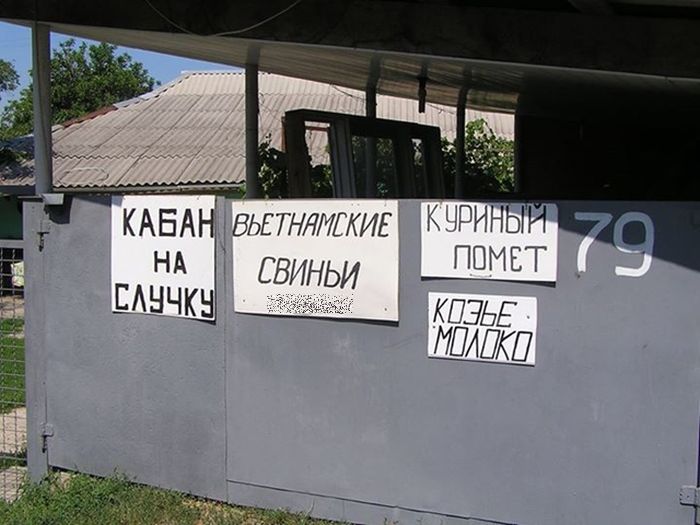 700x525, 57 Kb / кабан, случка, свиньи, вьетнамские, куриный, помет, козье, молоко