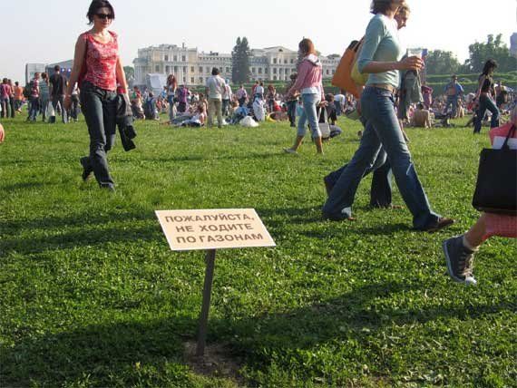 570x428, 62 Kb / Обьявление, трава, газон