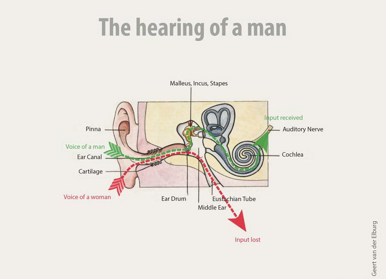 780x563, 51 Kb / слух, мужчина, женщина