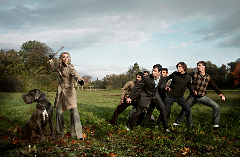 803x526, 278 Kb / собака, палка