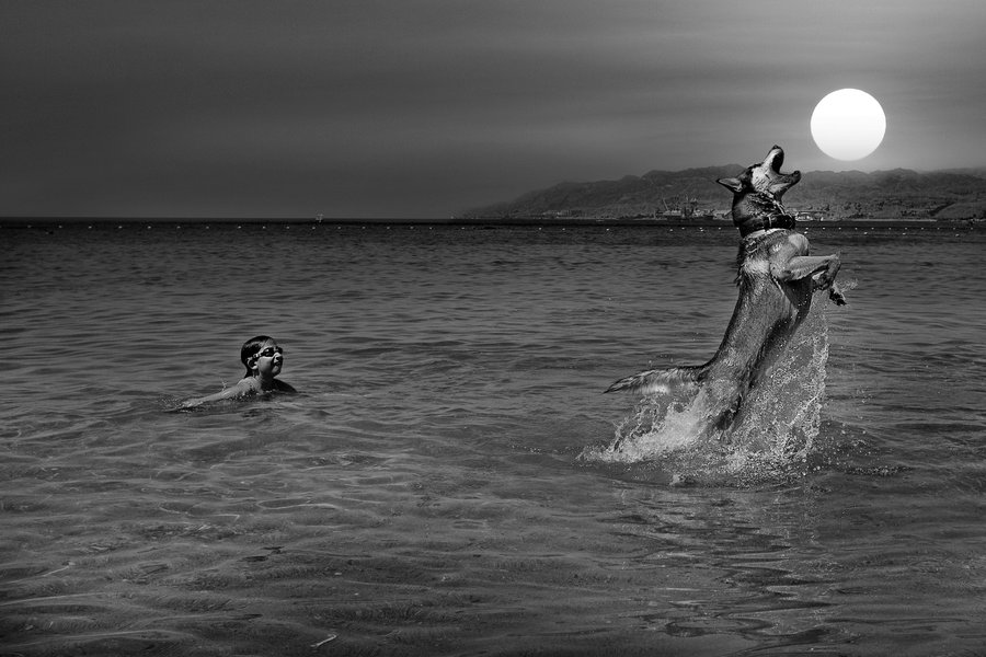 900x600, 102 Kb / собака, луна, мальчик, вода, брызги, ч/б