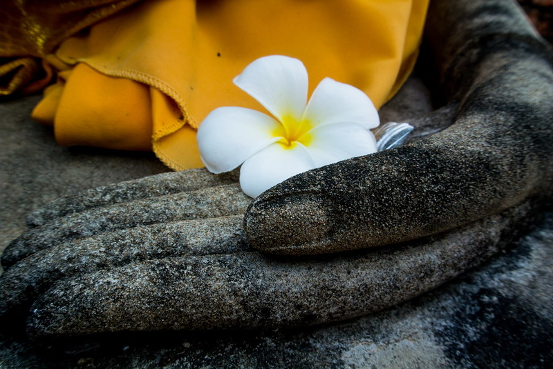 800x535, 166 Kb / цветок, рука, ладонь, статуя