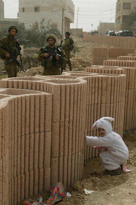 479x720, 75 Kb / военные, зайчик, прятки