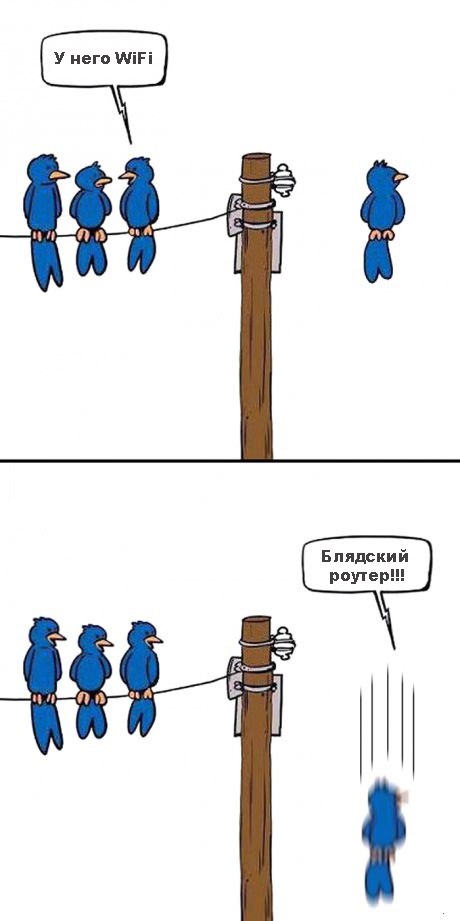 460x921, 38 Kb / столб, птицы, wifi