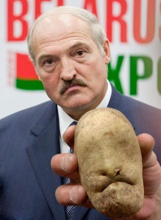 329x450, 29 Kb / Бацька, Лукашенко, картоха, бульба, картошка, картофель, клубень, картофелина, картошкин, картопля, картофан