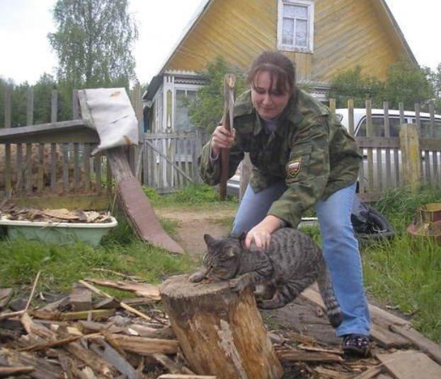 623x536, 65 Kb / кот, плаха, топор