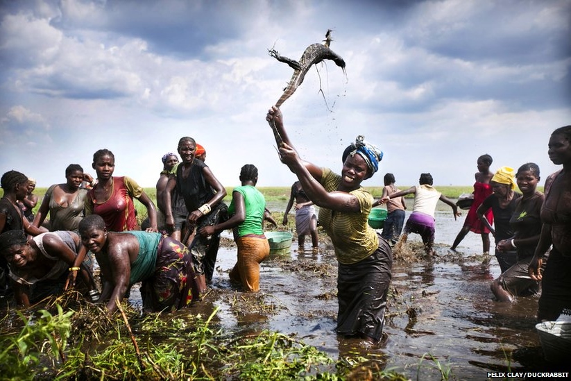 823x549, 269 Kb / крокодил, негритянка