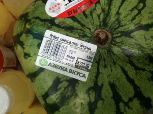 500x375, 44 Kb / Квадратный, арбуз