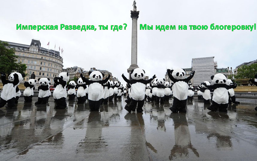 858x536, 142 Kb / ИР, панды, блогеровка