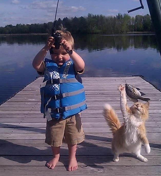 628x687, 135 Kb / рыбалка, кот, мост, удочка