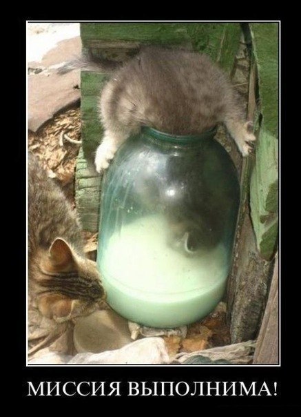 437x604, 54 Kb / котенок, кот, молоко, банка, миссия,