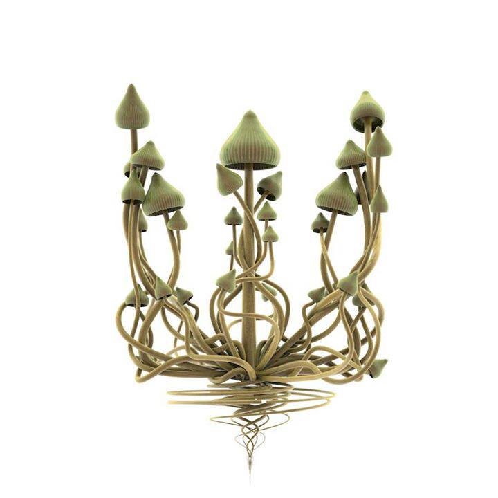 720x720, 33 Kb / тризуб, грибы