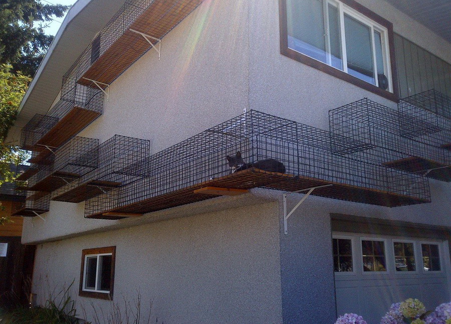 900x647, 285 Kb / дом, ходы, кошка, корридор, решетка