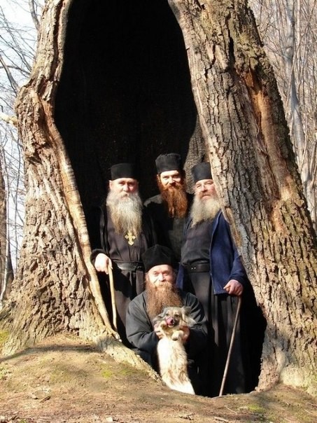 453x604, 110 Kb / собака, дупло, священники