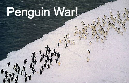 499x322, 58 Kb / пингвины, льдина, лед