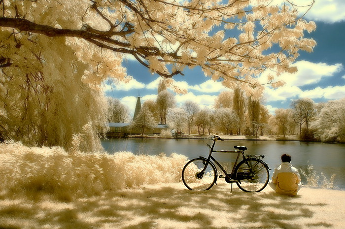 700x465, 140 Kb / озеро, велосипед, пейзаж