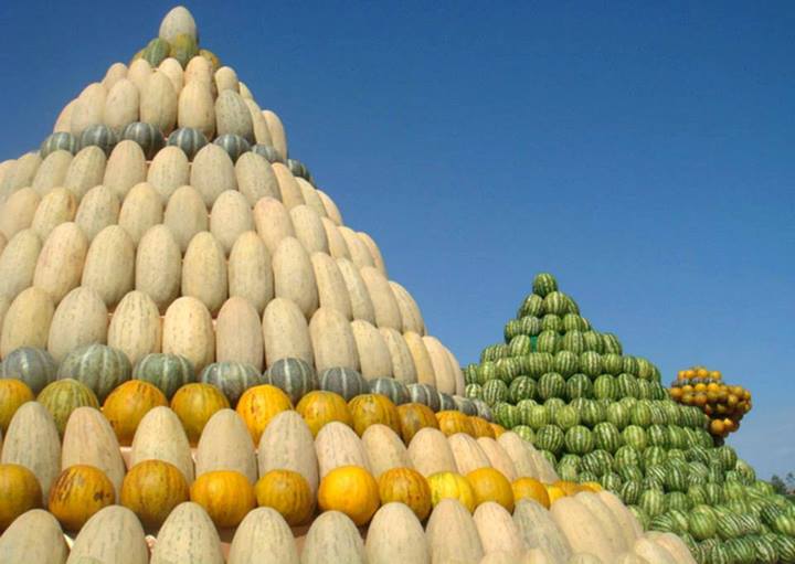 720x511, 42 Kb / дыня, арбуз, тыква