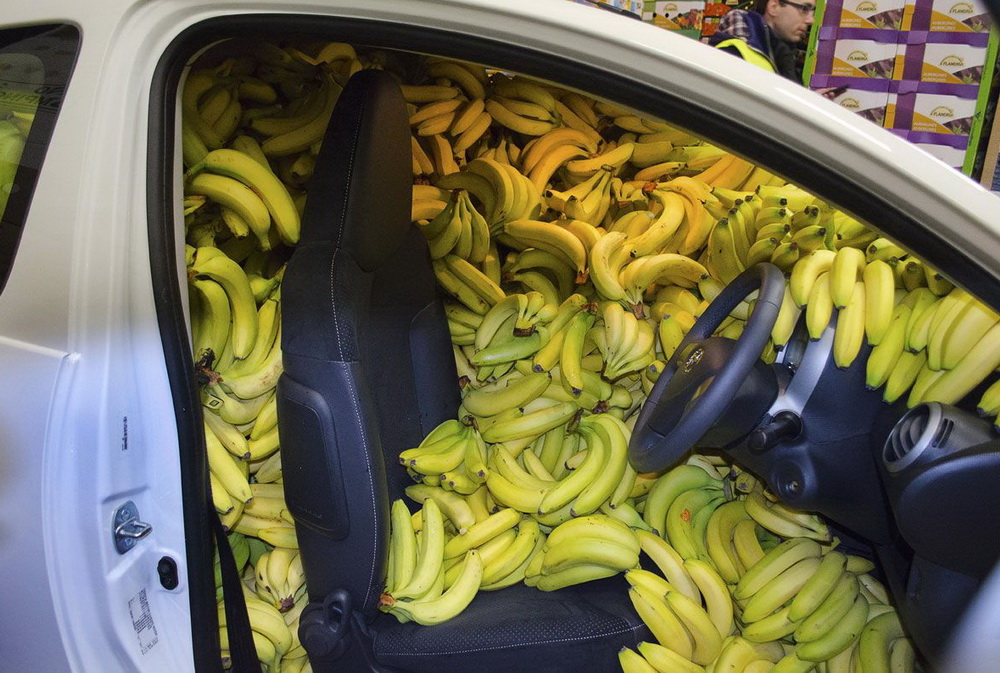 1000x673, 264 Kb / авто, бананы