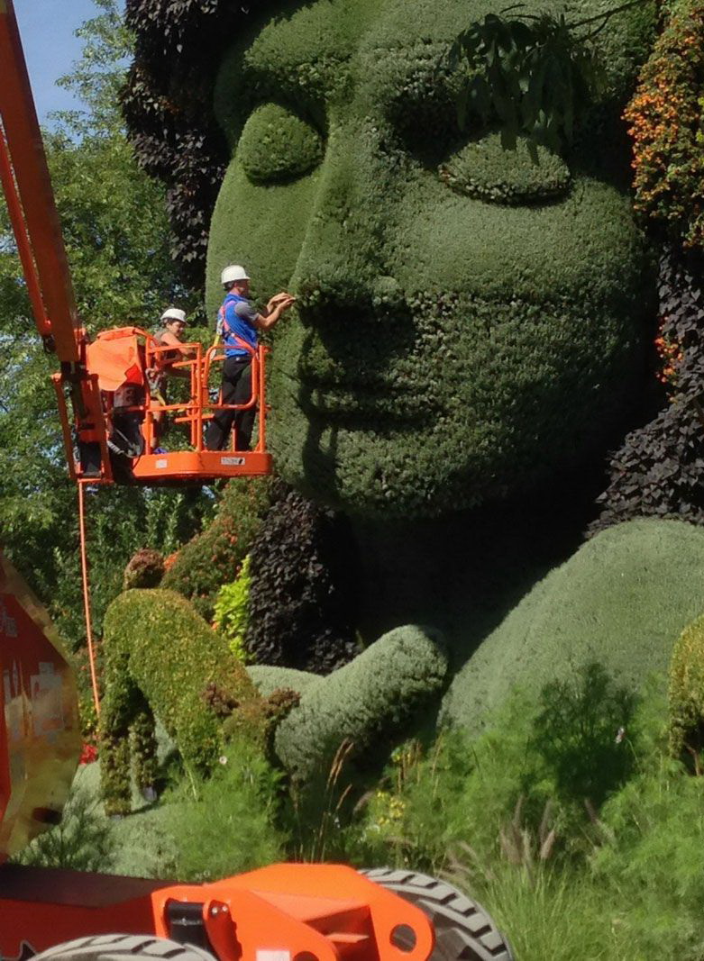 781x1067, 270 Kb / зелень, лицо, скульптура