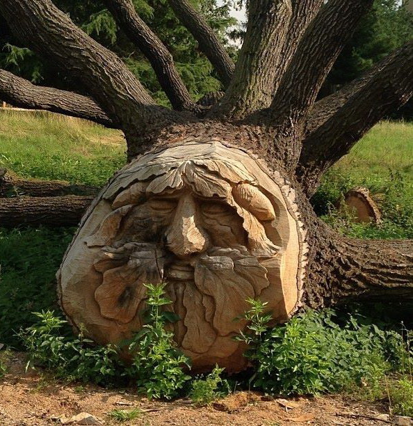 594x612, 221 Kb / дерево, резьба, морда