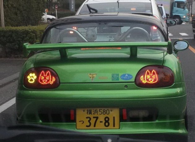 630x460, 70 Kb / авто, стоп, сигналы