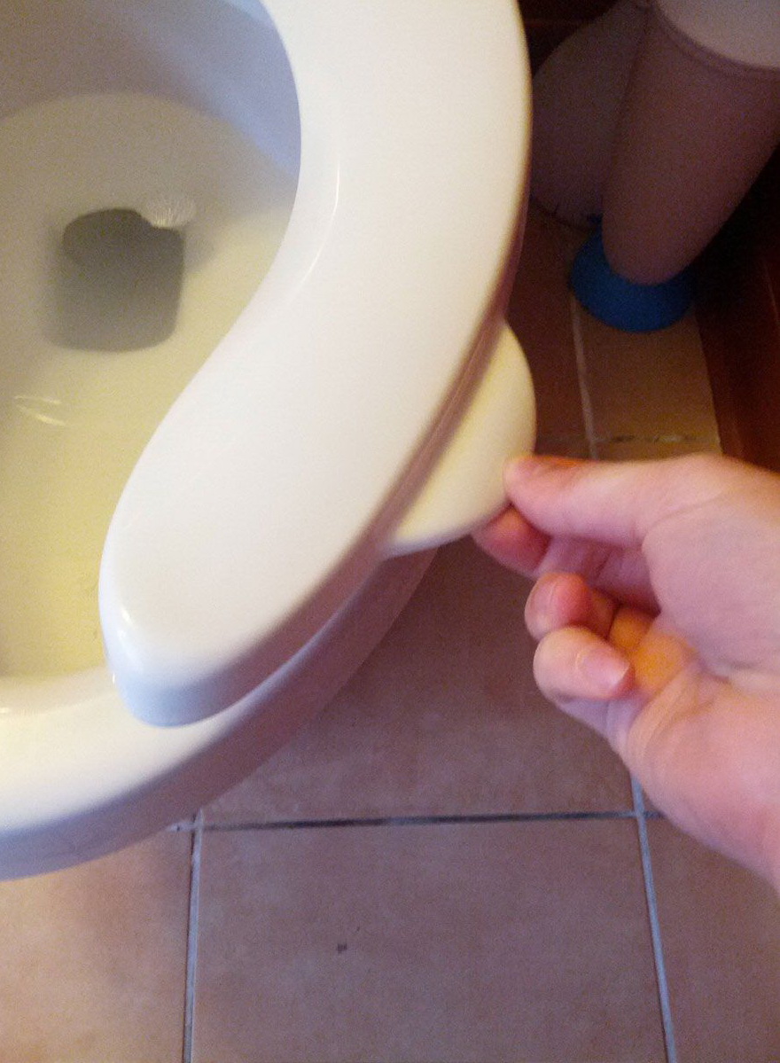 880x1199, 265 Kb / туалет, ручка