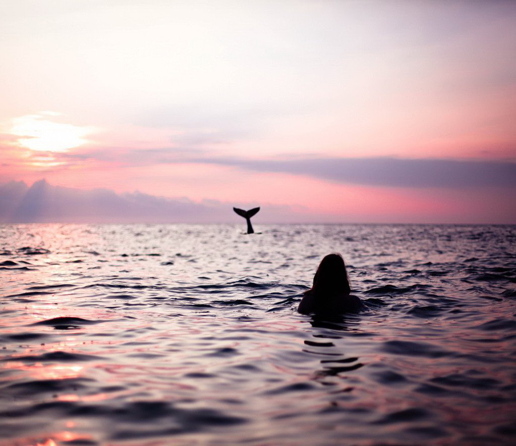 1023x883, 210 Kb / русалка, море, хвост