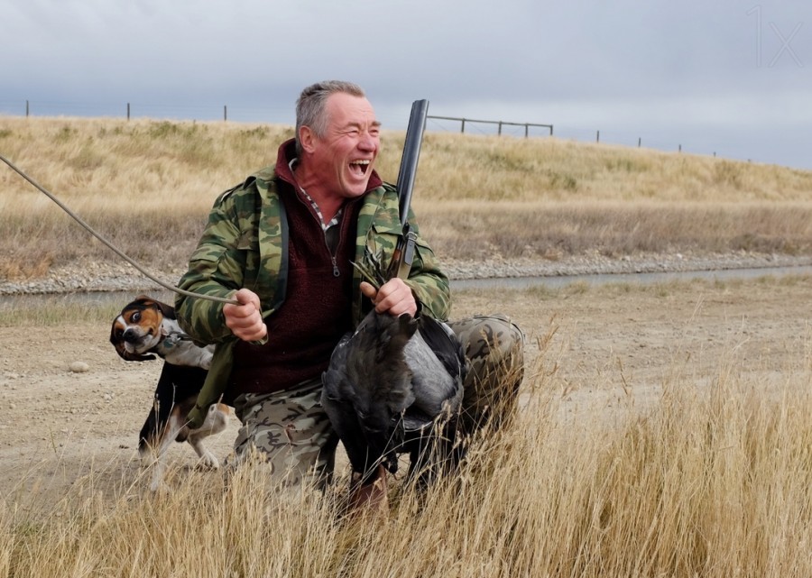 900x641, 157 Kb / собака, ружье, охотник, птица