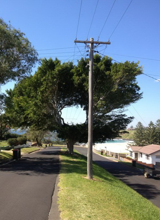 556x766, 186 Kb / дерево, дыра, провод, электричество