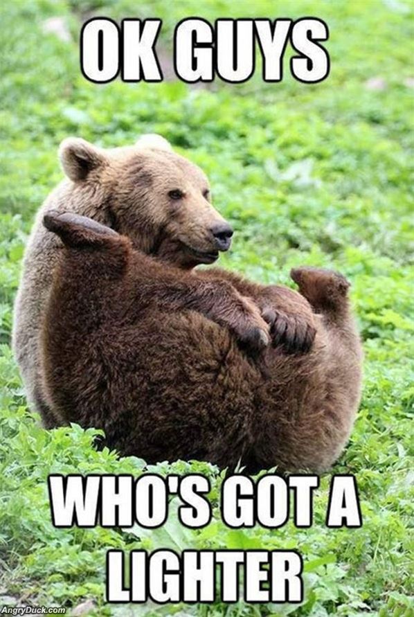 598x891, 111 Kb / медведь, зажигалка