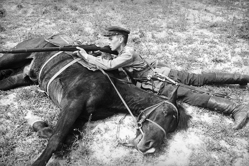 800x534, 150 Kb / лошадь, солдат, винтовка, ч/б