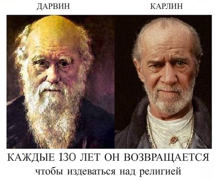 700x583, 66 Kb / Дарвин, Карлин