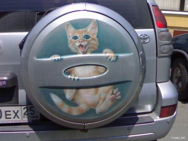 650x487, 42 Kb / запаска