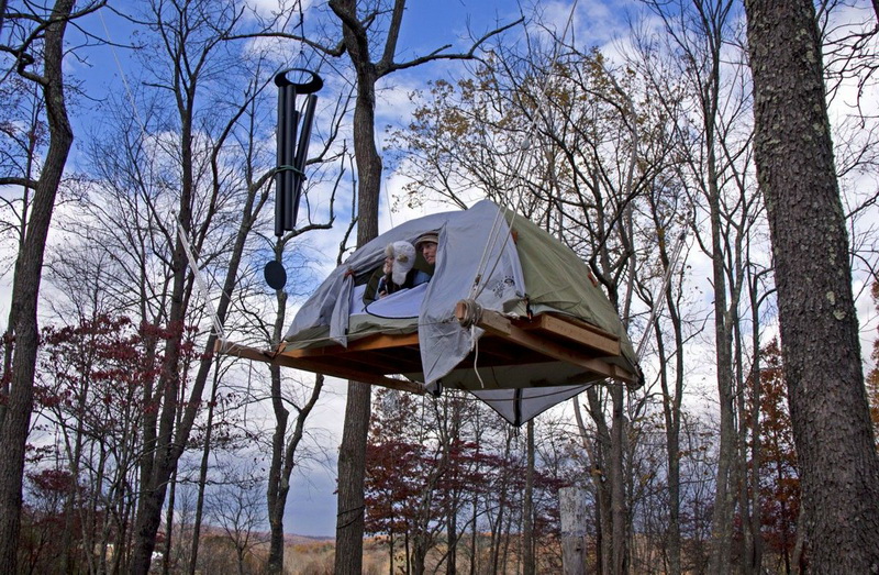 800x523, 272 Kb / палатка, лес, туристы