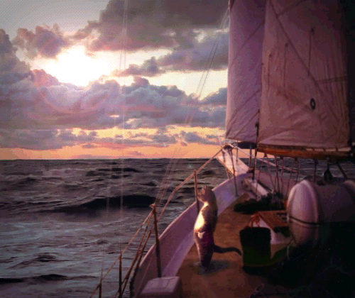 500x420, 86 Kb / кот, закат, яхта, море