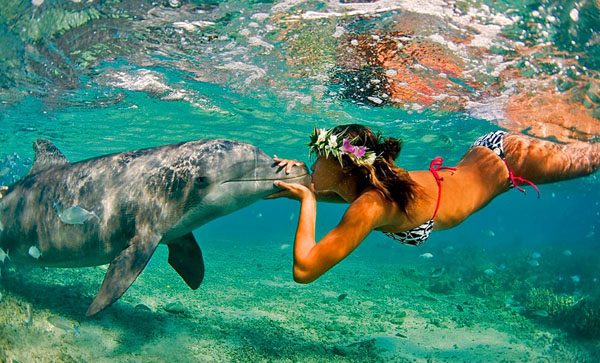 600x363, 115 Kb / дельфин, русалка