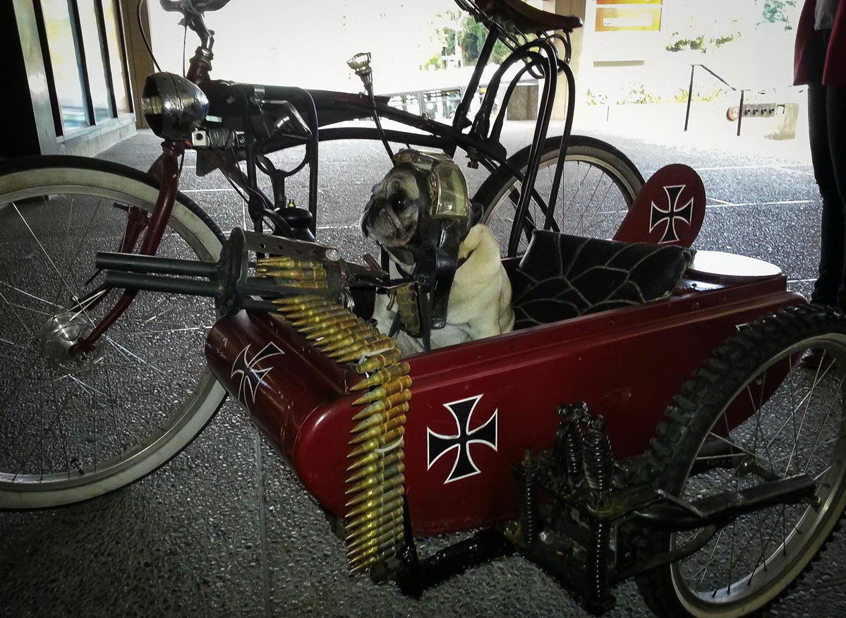 1199x876, 257 Kb / собака, пулемет, немец, коляска, мотоцикл