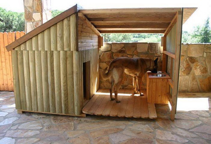 702x480, 97 Kb / собака, будка, дом