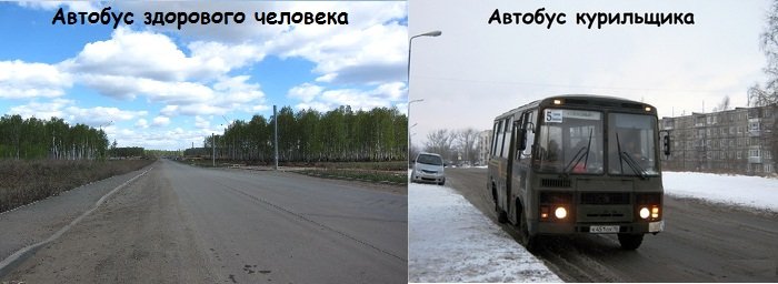 700x256, 39 Kb / автобус, курение, традиция, закон