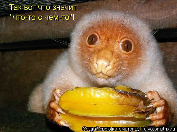 600x450, 47 Kb / что-то, с чем-то