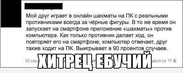 600x242, 45 Kb / друг, шахматы, хитрец