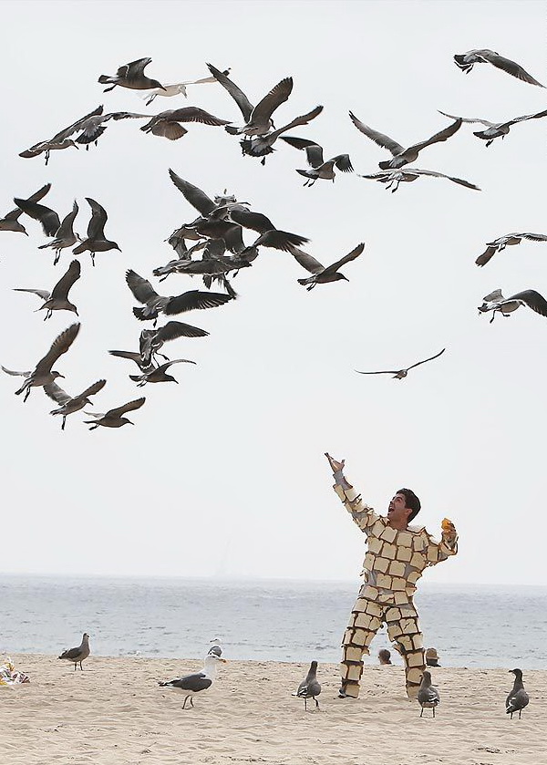 600x839, 144 Kb / тосты, птицы, море, пляж