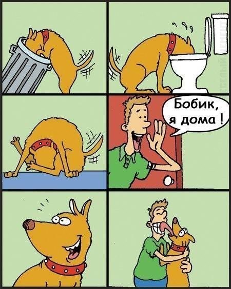 450x564, 60 Kb / комикс, собака, поцелуй