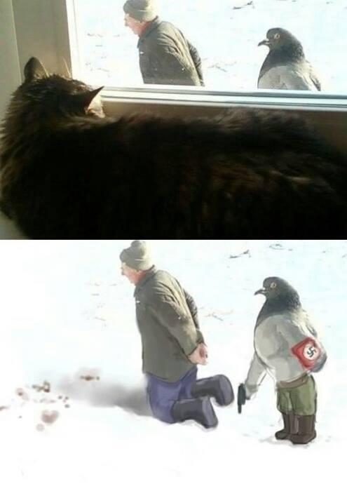 495x700, 25 Kb / голубь, нацист, расстрел