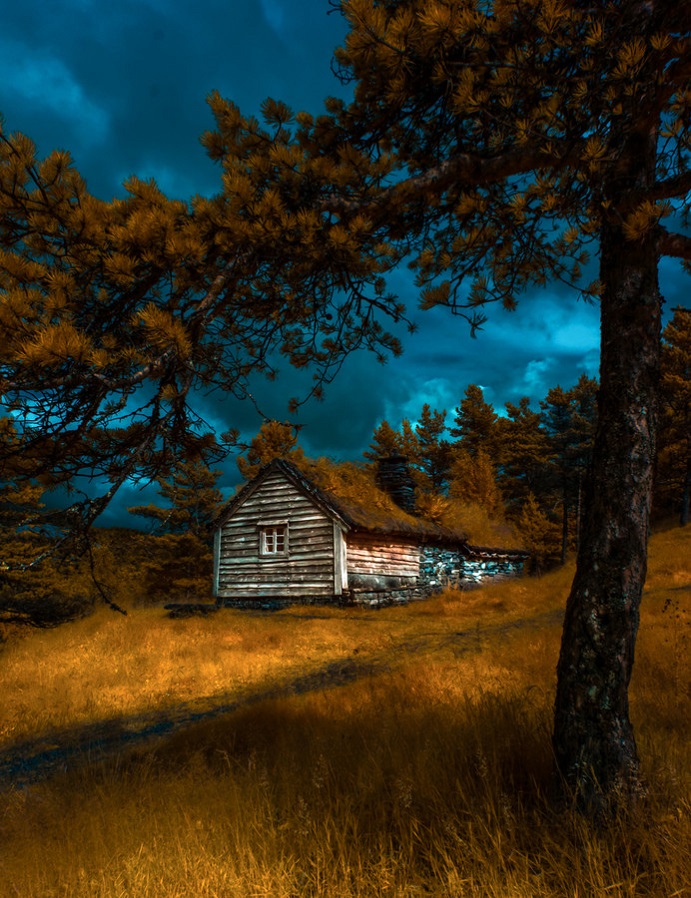 691x898, 283 Kb / дом, сосна